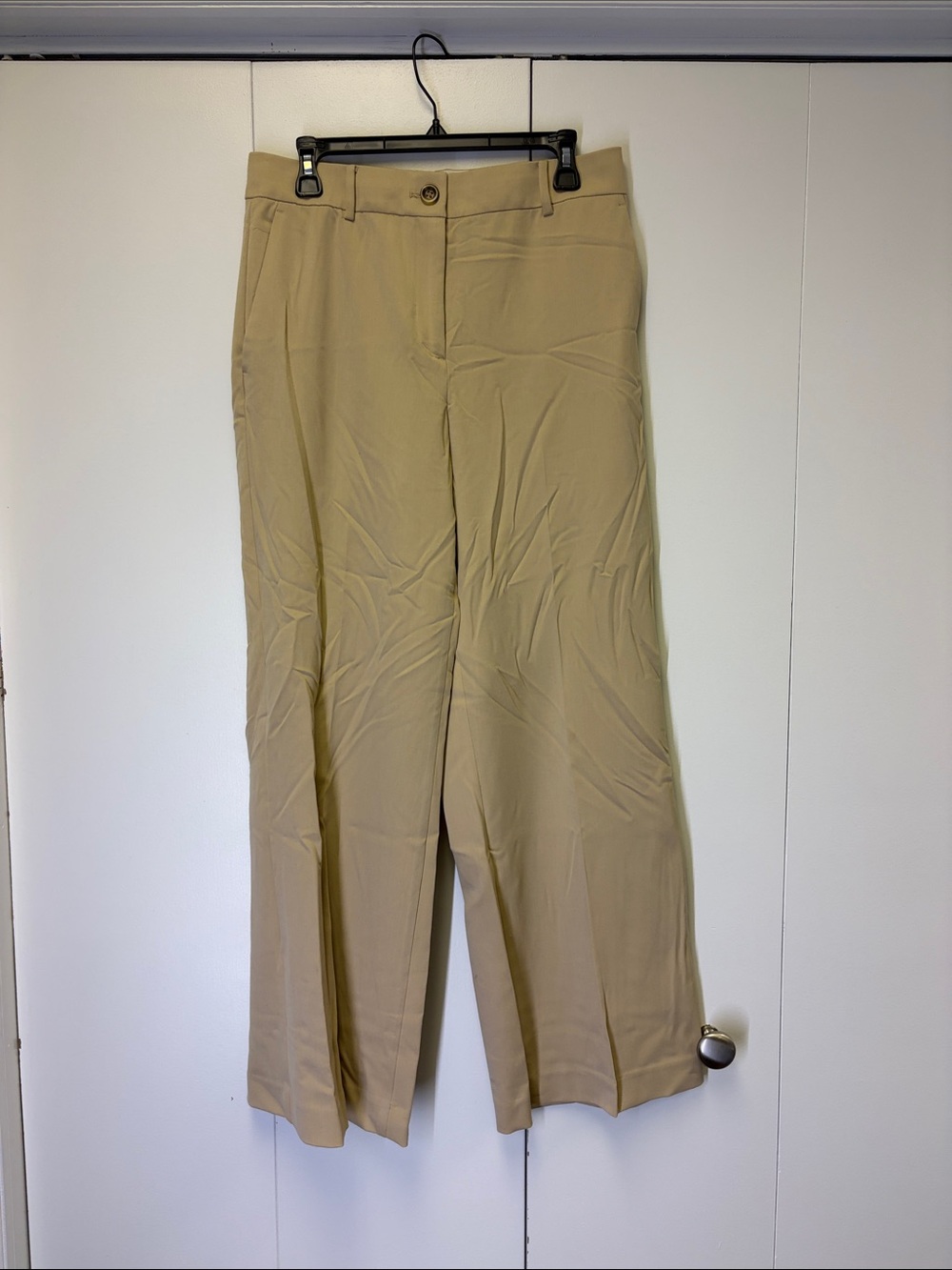 Ann Taylor Beige Wide-Leg Dress Pants